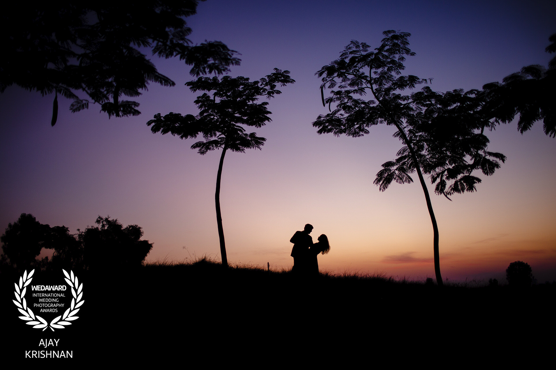 Wedaward is an international wedding photography award, wherein photographers from all over the world submit creative and artistic wedding photographs, which are reviewed and only the best are selected for the award by a jury of experts.